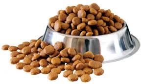 Les aliments pour animaux de compagnie, des aliments de première nécessité pour garantir le bien-être et la santé des compagnons des Français.
