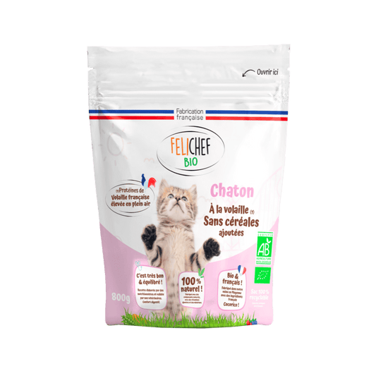 Un sac de croquettes sans céréales bio pour chaton est au centre de l’image. Le sac rose de 800 grammes contient des croquettes naturelles saveur volaille. Le fond est blanc.