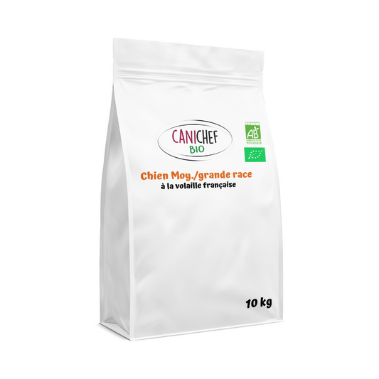 Croquettes sans céréales bio pour chien de moyenne et grande race en sac vrac de 10 kg. Le sac est au centre de l'image. Le fond est blanc.