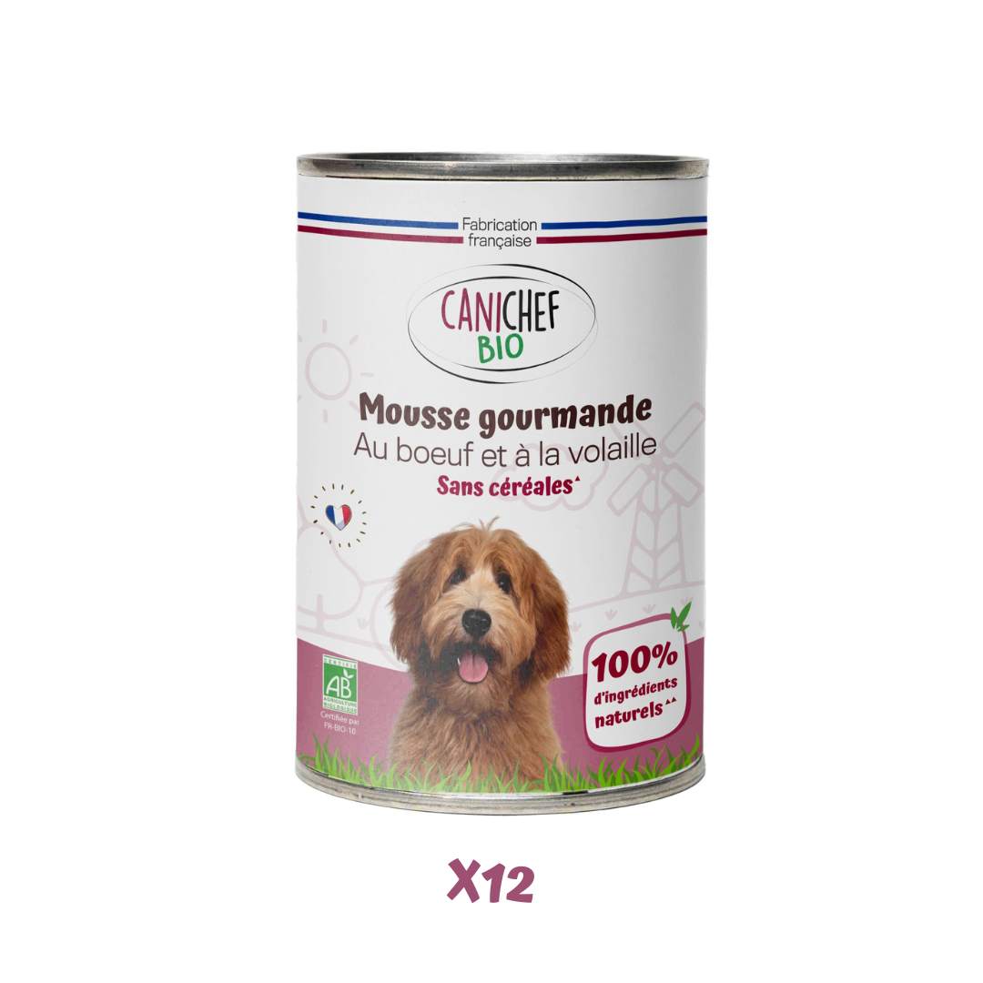 Une boîte de mousse gourmande pour chien de 400 grammes est au centre de l'image. Le fond est blanc et une écriture x12 est en bas.