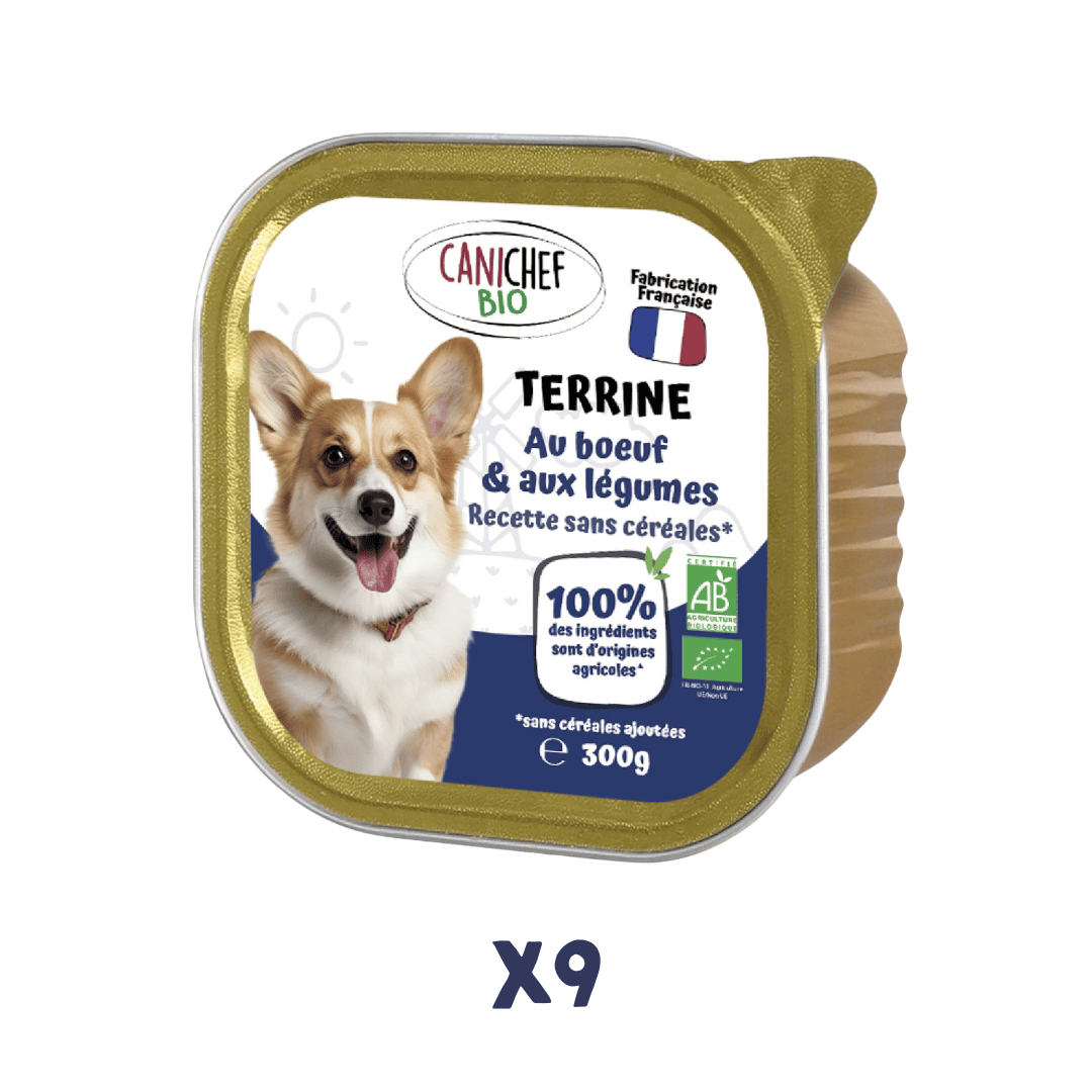 Une boîte de pâtée pour chien saveur boeuf et légumes (300 grammes) est au centre de l'image. Le fond est blanc.