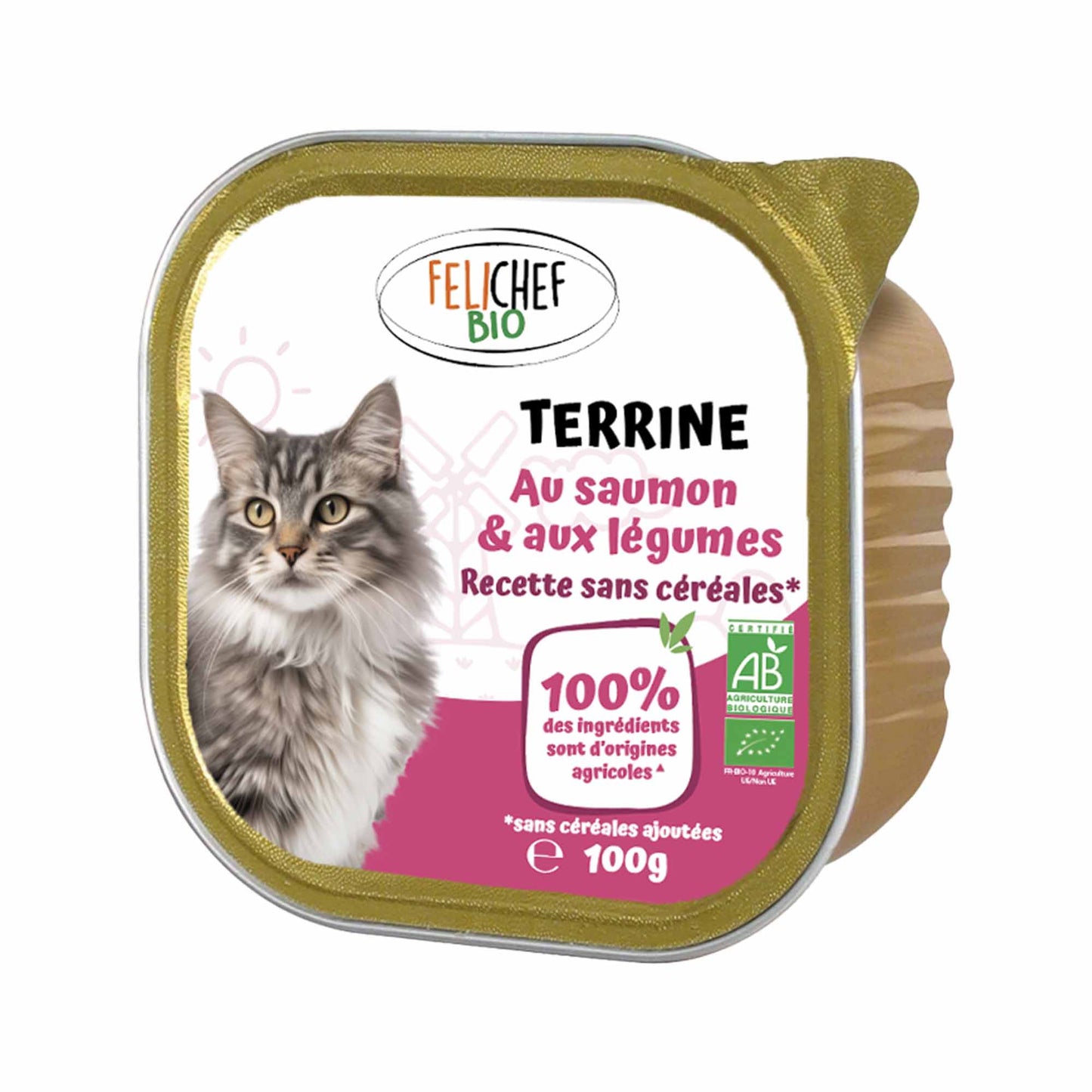 Une boîte de pâtée (100 grammes) saveur saumon et légumes est au centre de l'image. Le fond est blanc.