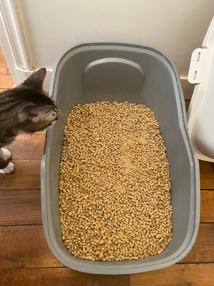 Litière végétale BIO - Chat