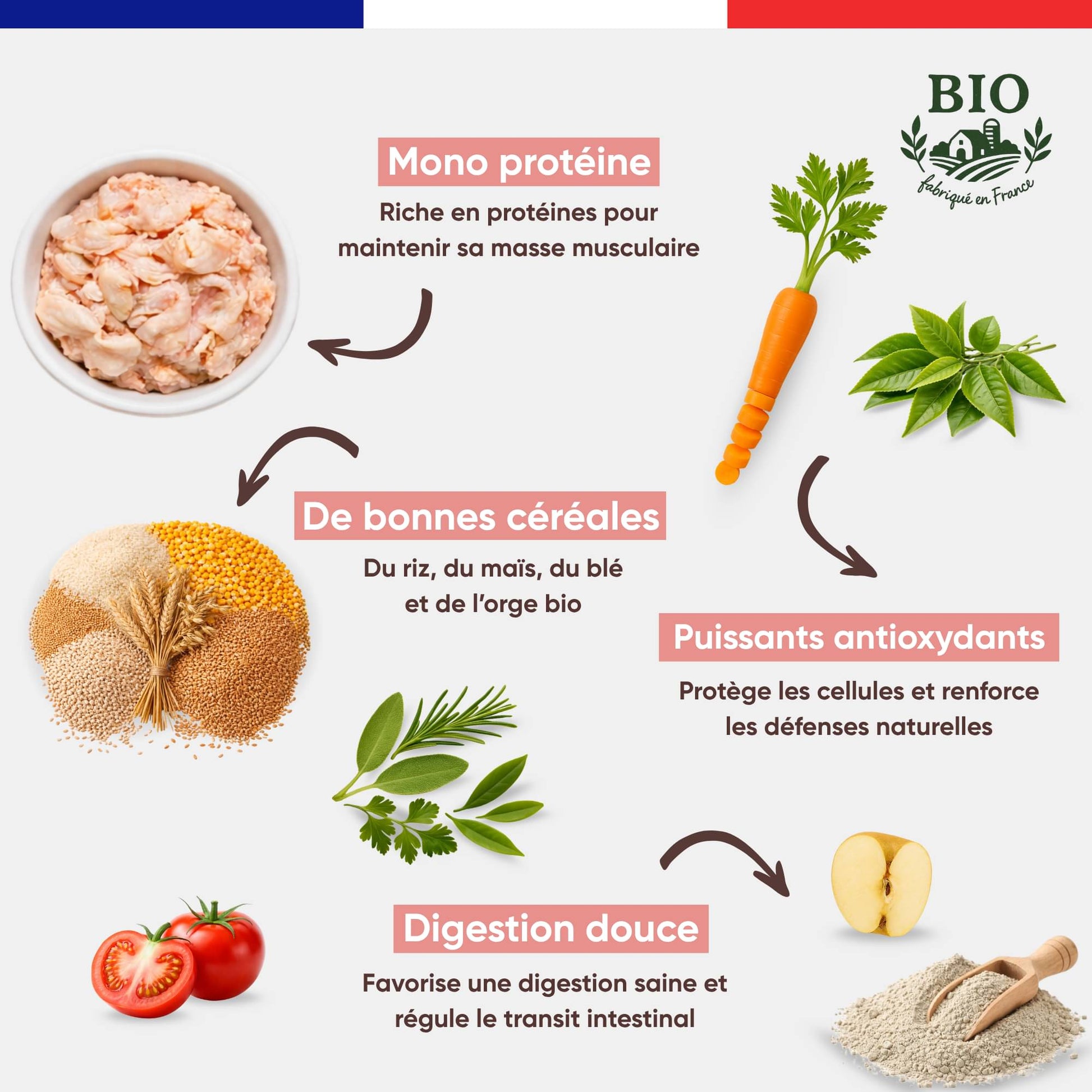 Infographie Félichef Bio présentant les aliments entrant dans la composition des croquettes pour chat adulte : mono protéine, bonnes céréales bio, puissants antioxydants et ingrédients favorisant une digestion douce