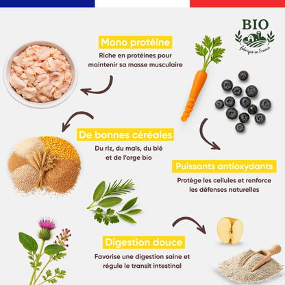 Infographie Félichef Bio détaillant les aliments des croquettes pour chat stérilisé : mono protéine, bonnes céréales bio, myrtilles et carottes comme puissants antioxydants, et ingrédients favorisant une digestion douce