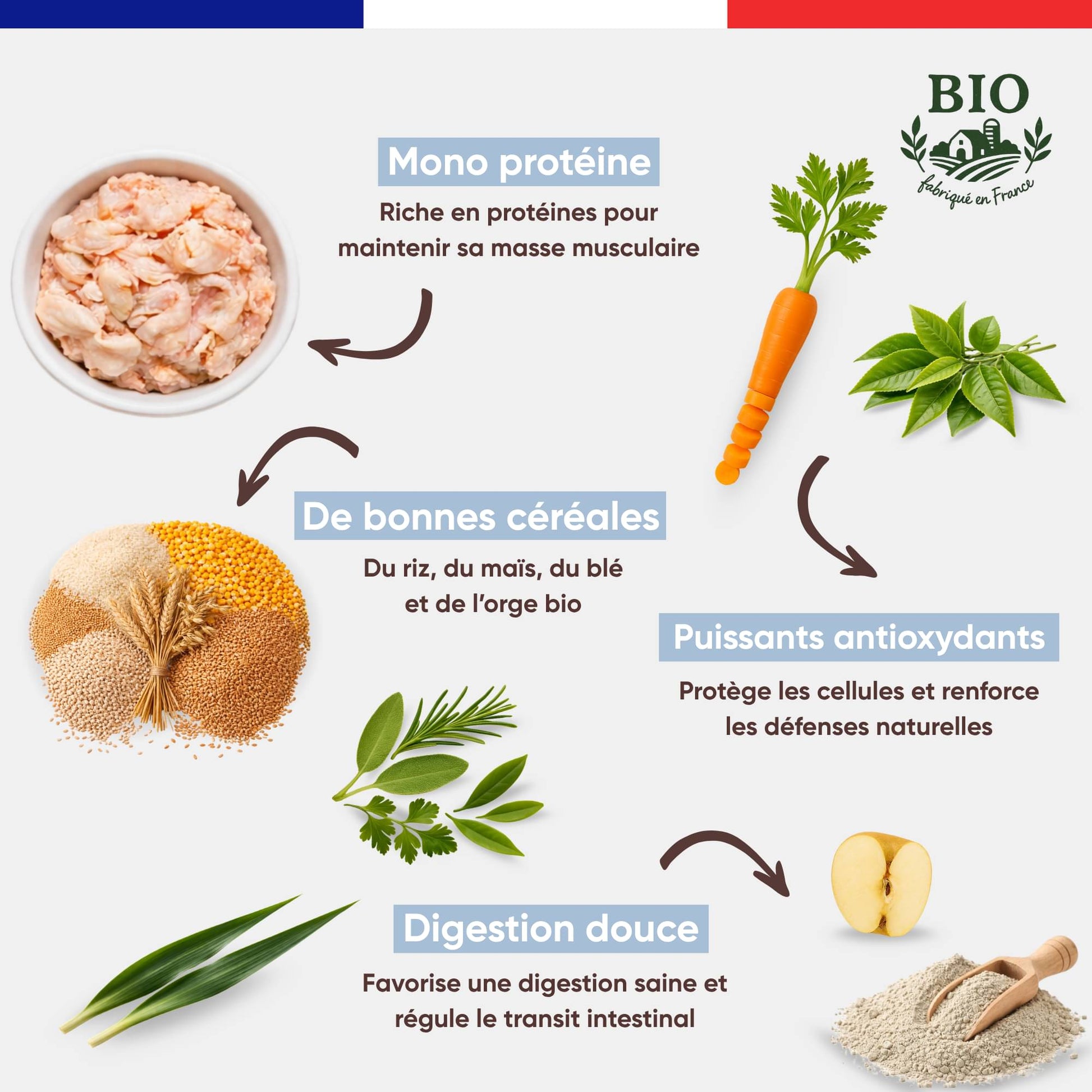 Infographie Félichef Bio détaillant les aliments des croquettes pour chaton : mono protéine, bonnes céréales bio, puissants antioxydants et ingrédients favorisant une digestion douce dès le plus jeune âge