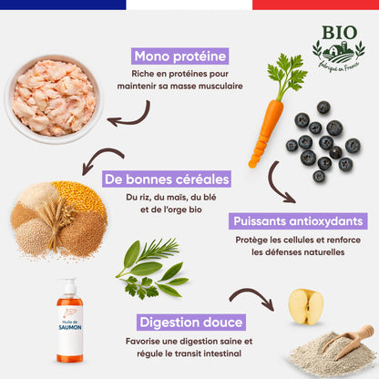 Aliments clés des croquettes pour chien petite race Canichef Bio : mono protéine volaille, bonnes céréales bio riz maïs blé orge, puissants antioxydants myrtilles carotte et digestion douce à la pomme et à l'huile de saumon