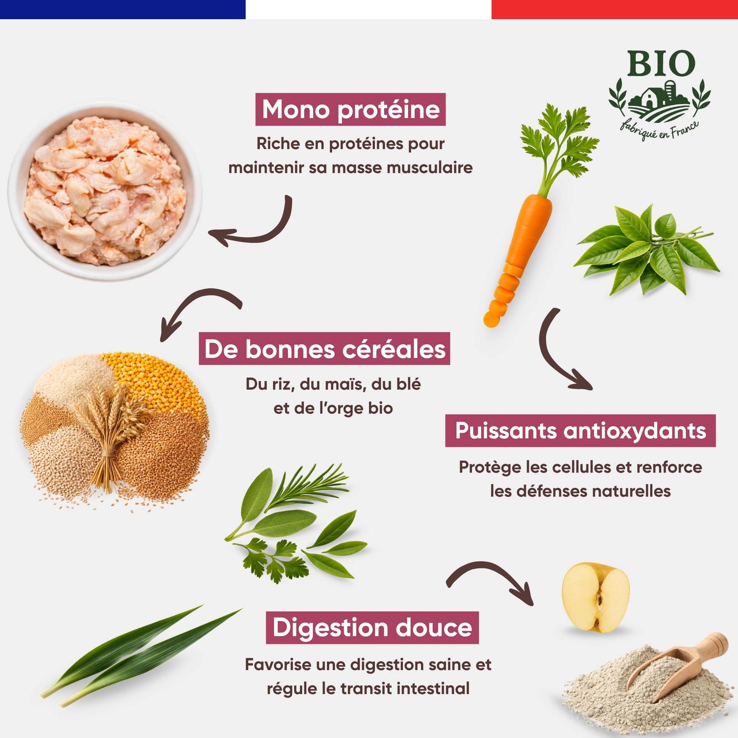 Aliments clés des croquettes pour chiot Canichef Bio : mono protéine volaille, bonnes céréales bio riz maïs blé orge, puissants antioxydants carotte et digestion douce à la pomme et aux herbes aromatiques