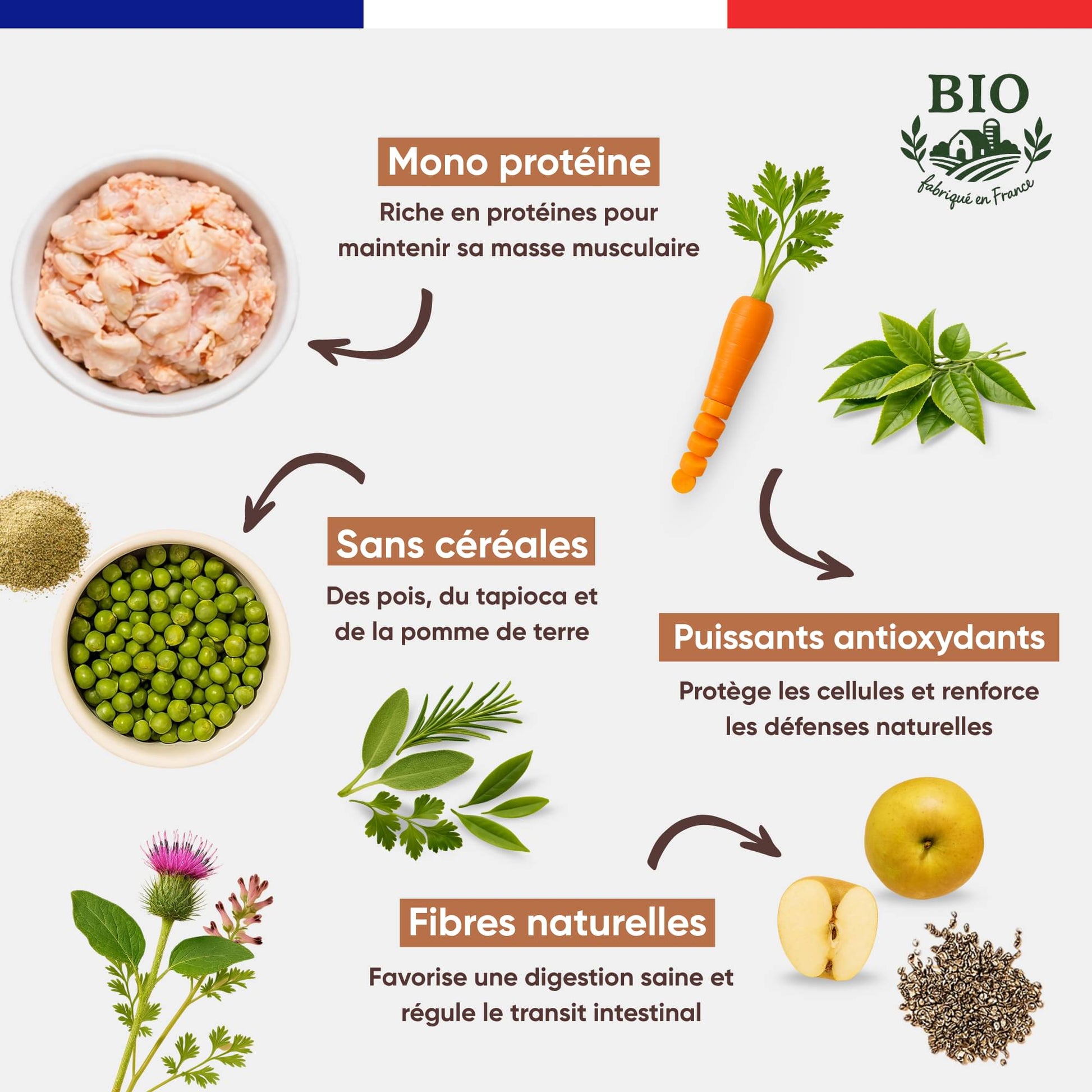 Infographie Félichef Bio détaillant les aliments des croquettes sans céréales pour chat adulte : mono protéine, pois et tapioca, puissants antioxydants et fibres naturelles pour une digestion saine