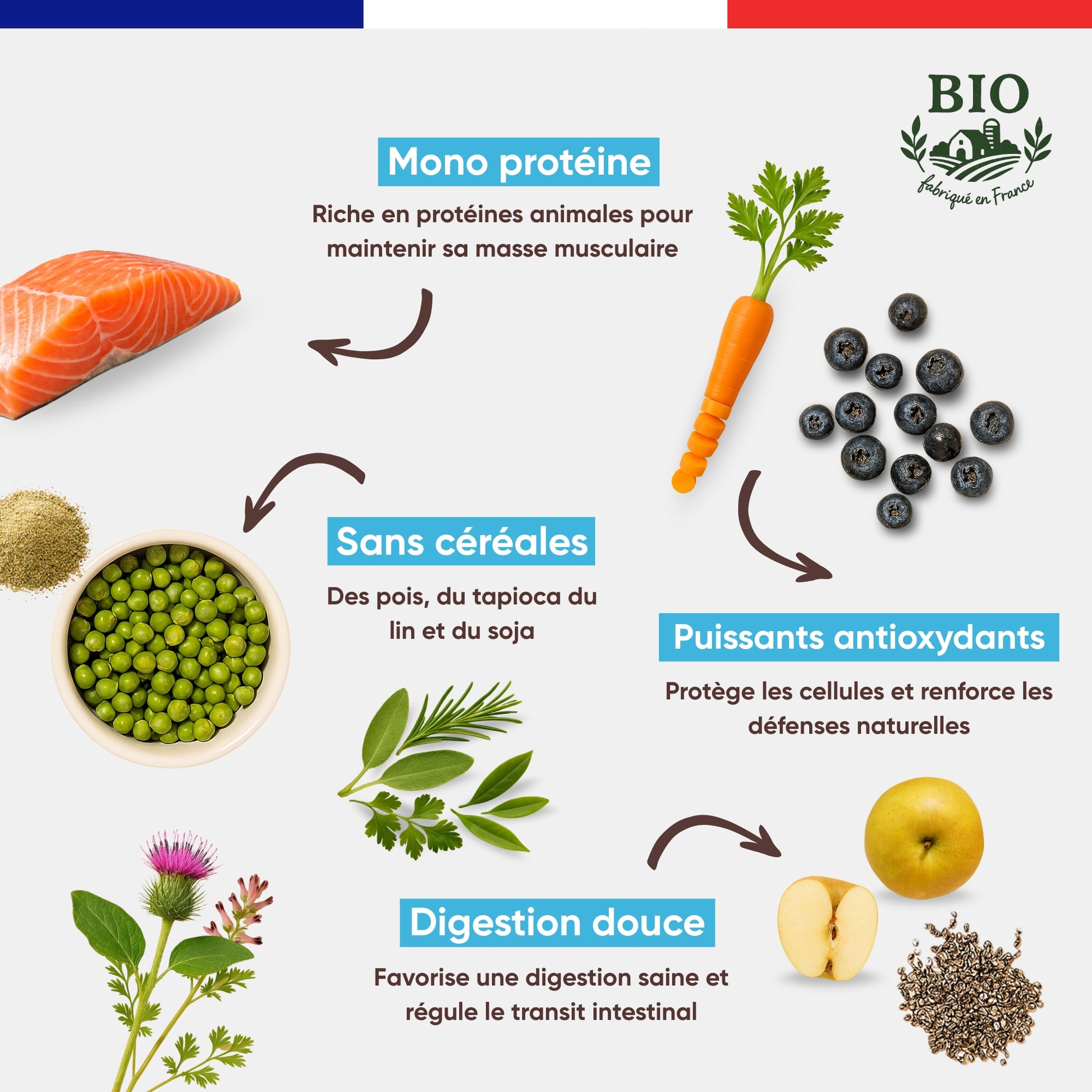 Infographie Félichef Bio détaillant les aliments des croquettes sans céréales au poisson pour chat : mono protéine, pois et tapioca, myrtilles et carottes comme antioxydants, et ingrédients favorisant une digestion douce