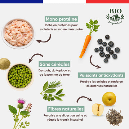Infographie Félichef Bio détaillant les aliments des croquettes sans céréales pour chat senior : mono protéine, pois et tapioca, myrtilles et carottes comme antioxydants, et fibres naturelles pour une digestion saine