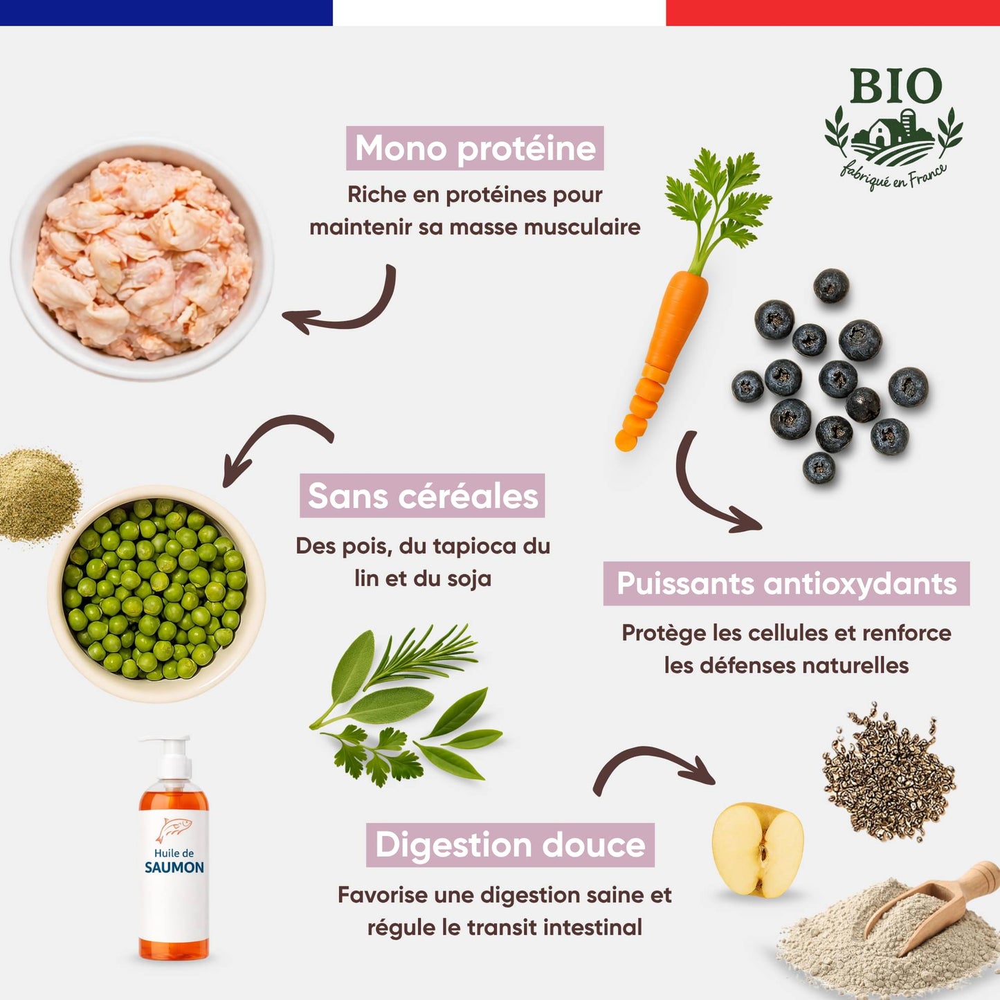 Infographie Félichef Bio détaillant les aliments des croquettes sans céréales pour chaton : mono protéine, pois et tapioca, myrtilles et carottes comme antioxydants, huile de saumon et ingrédients favorisant une digestion douce