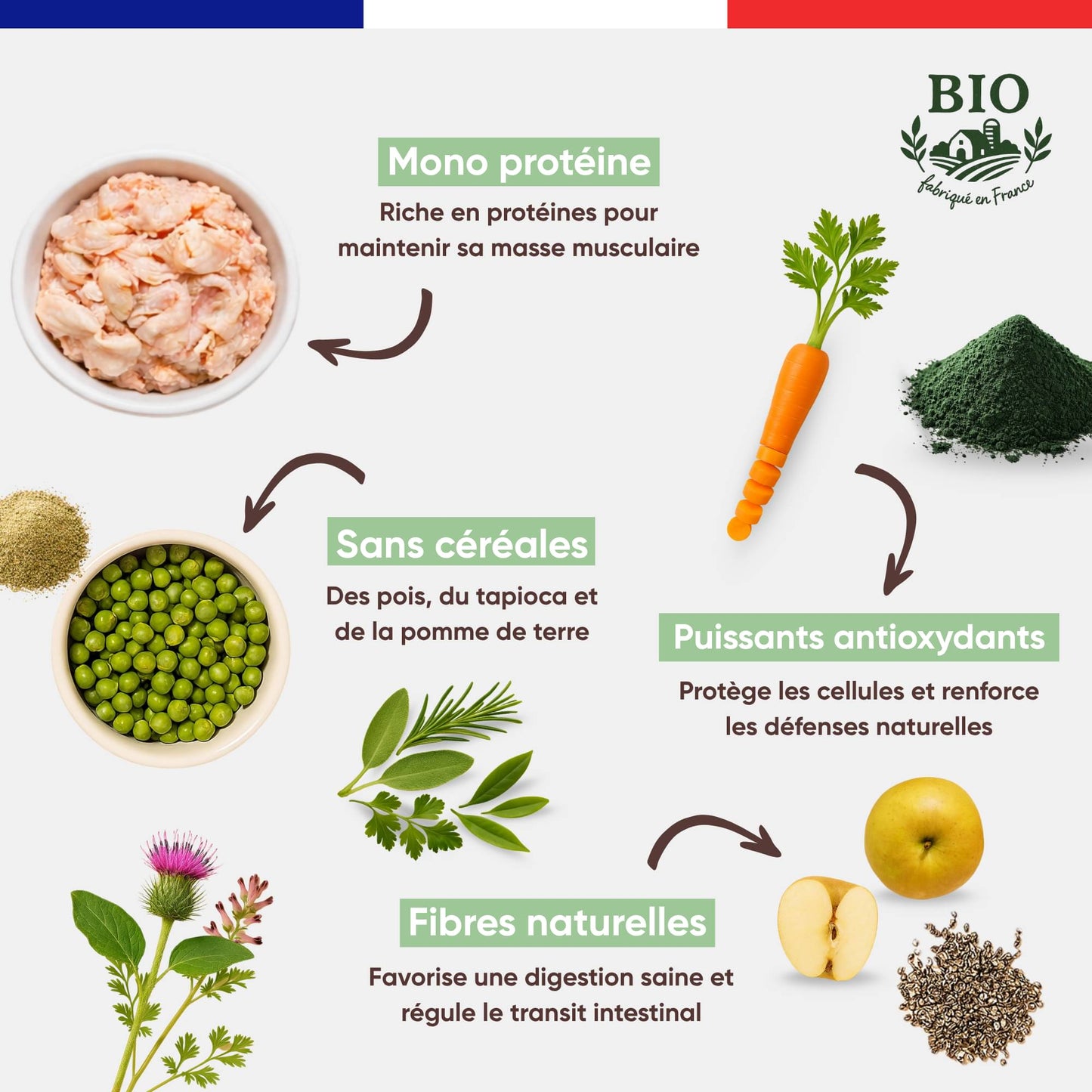 Ingrédients des croquettes sans céréales pour chien petite race Canichef Bio : mono protéine volaille, pois tapioca pomme de terre, puissants antioxydants carotte et spiruline, fibres naturelles pomme et graines de chia