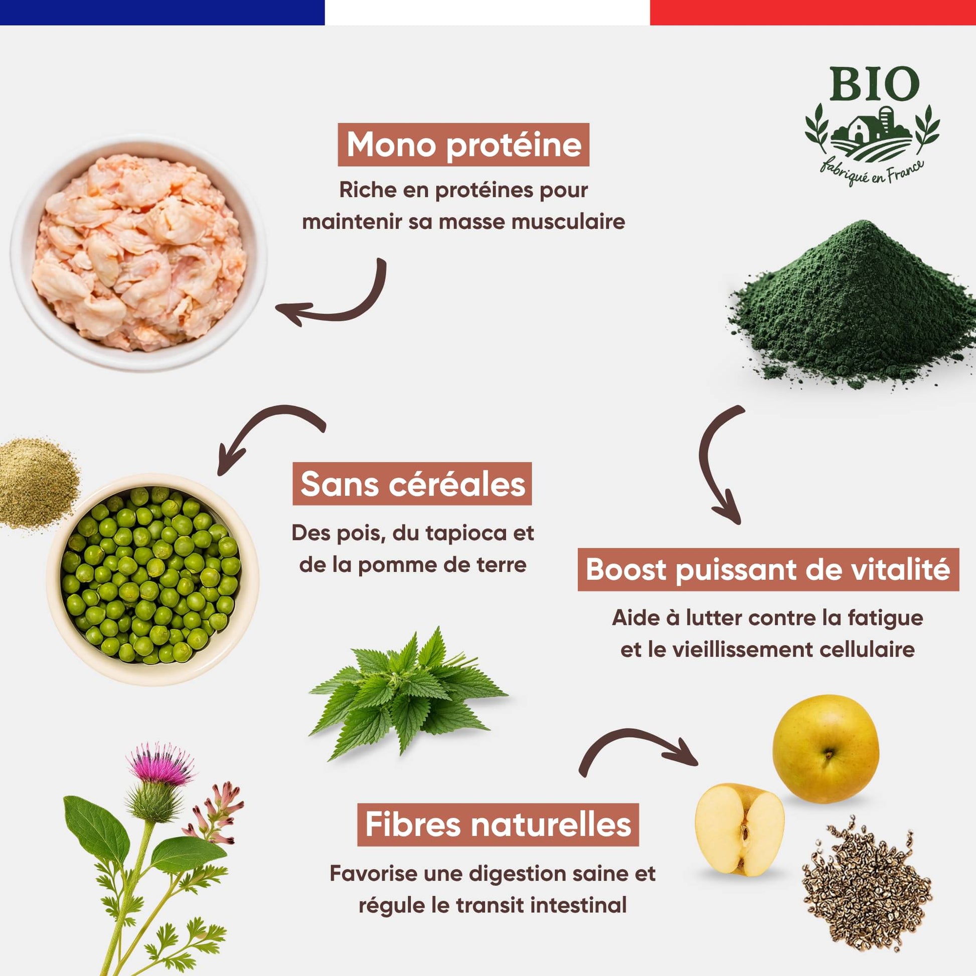 Ingrédients des croquettes sans céréales pour chien senior Canichef Bio : mono protéine volaille, pois tapioca pomme de terre, boost puissant de vitalité spiruline, fibres naturelles pomme et graines de chia