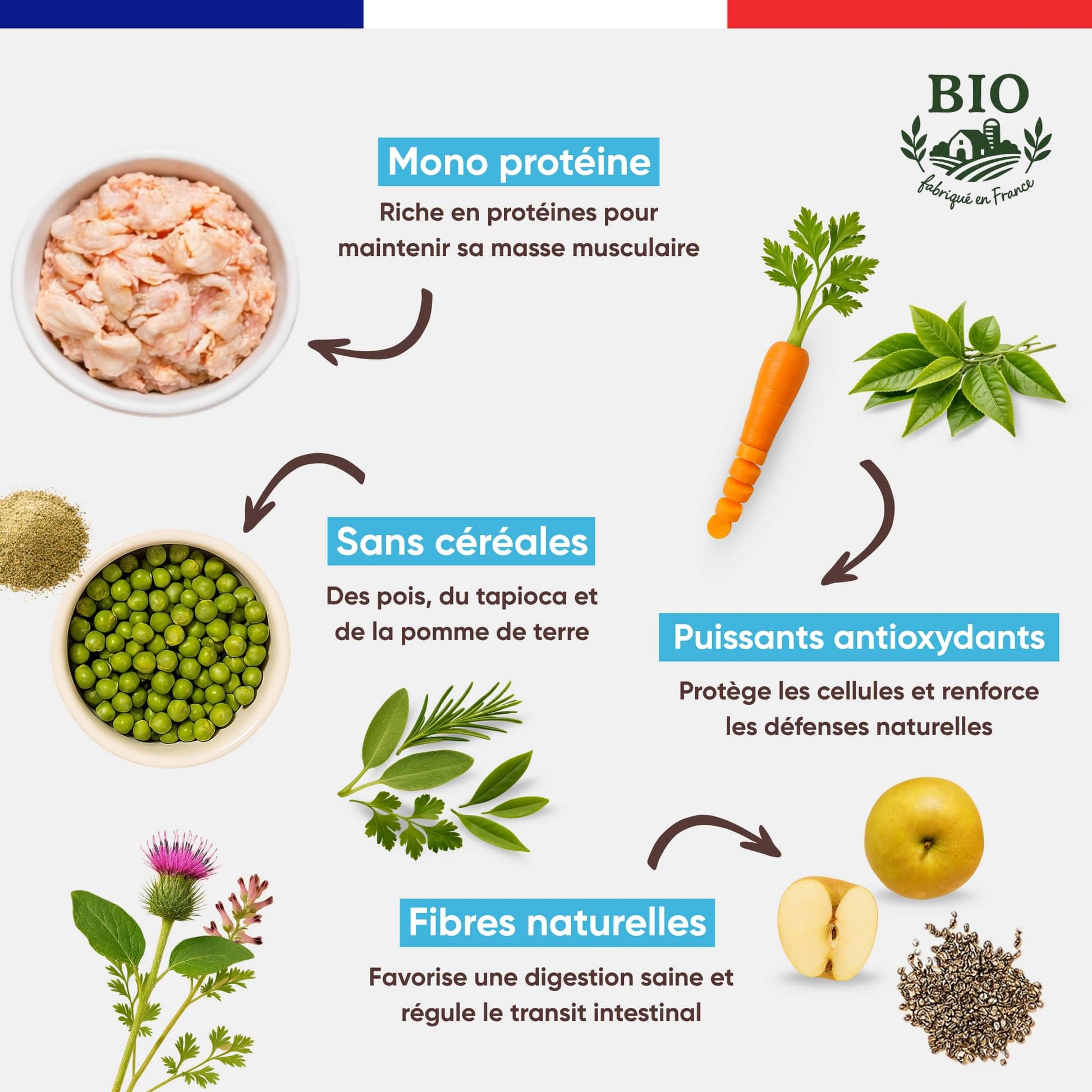 Ingrédients des croquettes sans céréales pour chien stérilisé Canichef Bio : mono protéine volaille, pois tapioca pomme de terre, puissants antioxydants carotte et herbes, fibres naturelles pomme et graines de chia