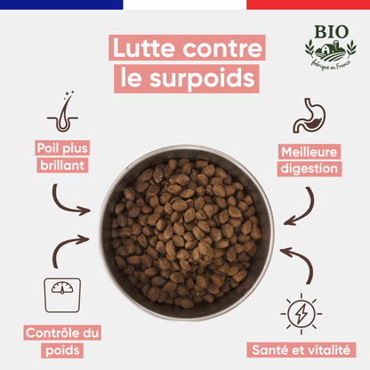 Infographie Félichef Bio illustrant les bienfaits des croquettes pour chat adulte : lutte contre le surpoids, poil plus brillant, meilleure digestion, contrôle du poids et santé et vitalité