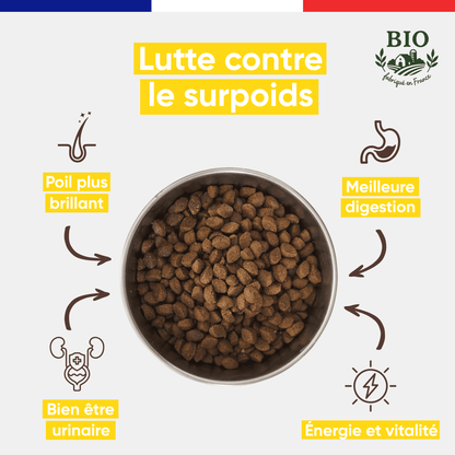 Infographie Félichef Bio présentant les bienfaits des croquettes pour chat stérilisé : lutte contre le surpoids, poil brillant, meilleure digestion, bonne santé urinaire et vitalité