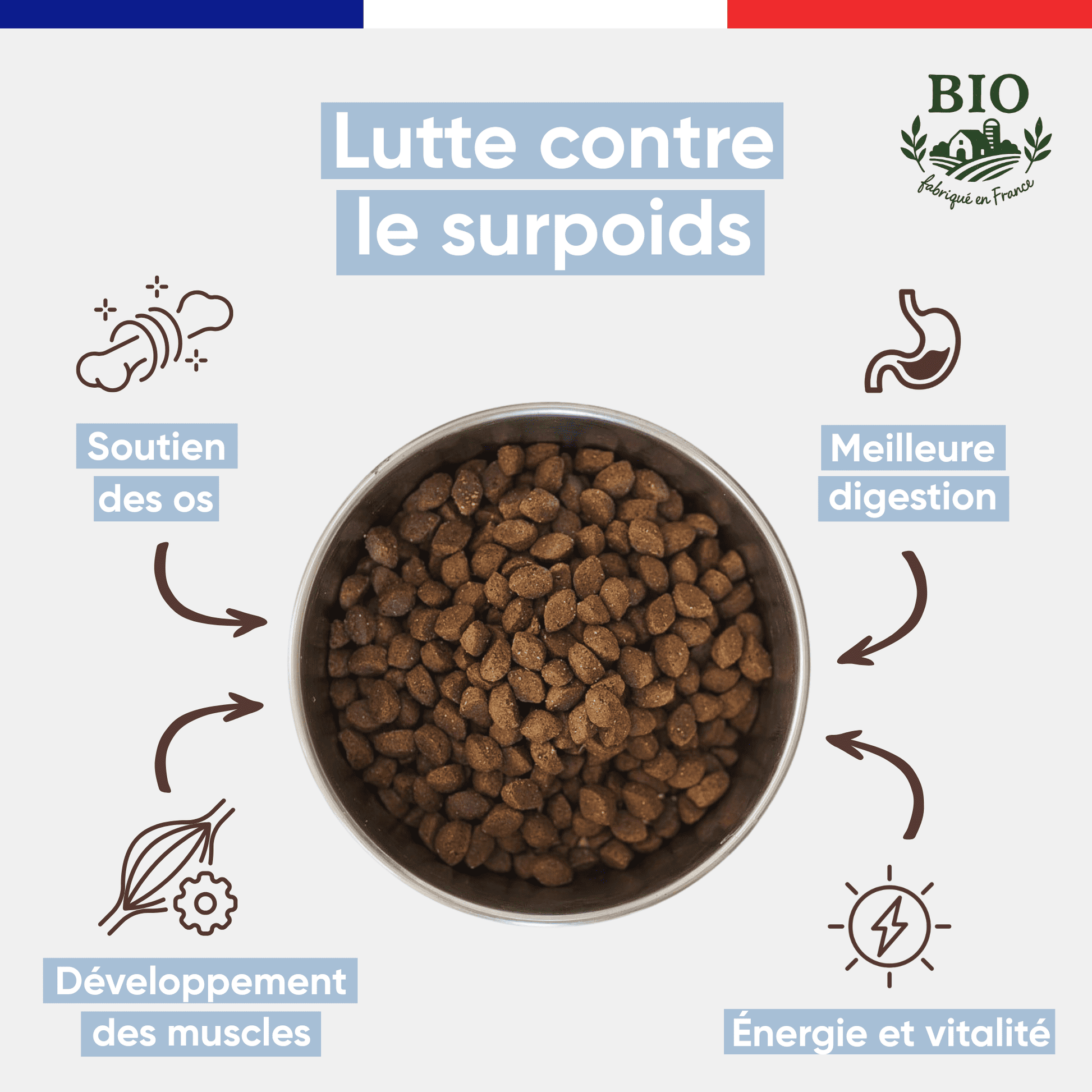 Infographie Félichef Bio présentant les bienfaits des croquettes pour chaton : soutien des os, développement des muscles, meilleure digestion et santé et vitalité