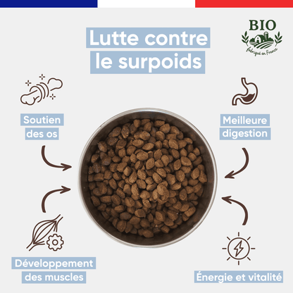 Infographie Félichef Bio présentant les bienfaits des croquettes pour chaton : soutien des os, développement des muscles, meilleure digestion et santé et vitalité