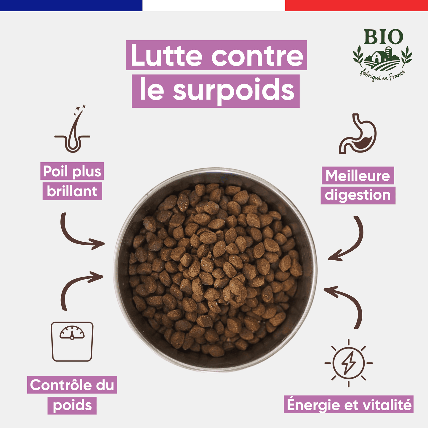 Gamelle en inox remplie de croquettes pour chien moyenne et grande race Canichef Bio, avec les bienfaits clés : lutte contre le surpoids, poil plus brillant, contrôle du poids, meilleure digestion et vitalité