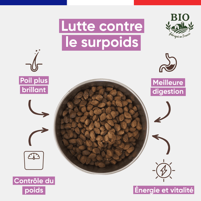 Gamelle en inox remplie de croquettes pour chien moyenne et grande race Canichef Bio, avec les bienfaits clés : lutte contre le surpoids, poil plus brillant, contrôle du poids, meilleure digestion et vitalité
