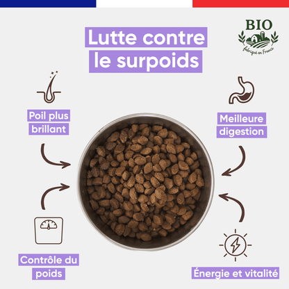 Gamelle en inox remplie de croquettes pour chien petite race Canichef Bio, avec les bienfaits clés : lutte contre le surpoids, poil plus brillant, contrôle du poids, meilleure digestion et vitalité