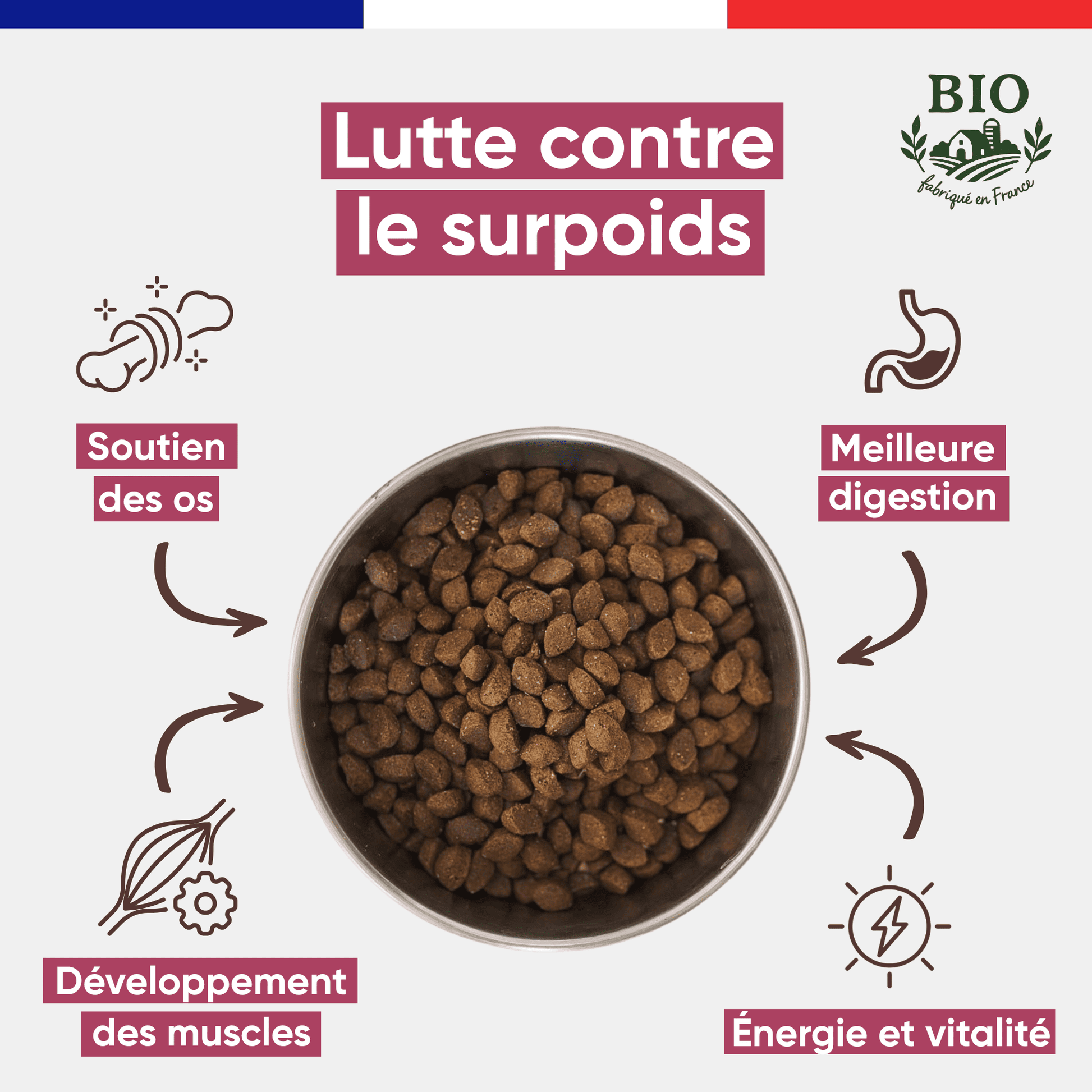 Gamelle en inox remplie de croquettes pour chiot Canichef Bio, avec les bienfaits clés : lutte contre le surpoids, soutien des os, développement des muscles, meilleure digestion et vitalité