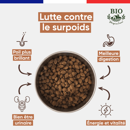 Infographie Félichef Bio présentant les bienfaits des croquettes sans céréales pour chat adulte : lutte contre le surpoids, poil brillant, meilleure digestion, bonne santé urinaire et santé et vitalité