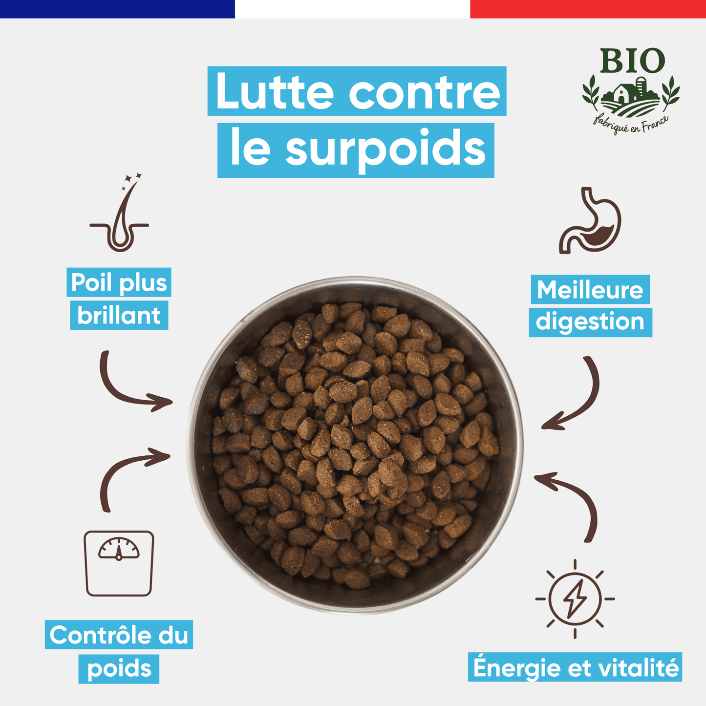 Infographie Félichef Bio présentant les bienfaits des croquettes sans céréales au poisson pour chat : lutte contre le surpoids, poil brillant, contrôle du poids, meilleure digestion et santé et vitalité