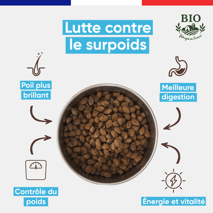 Infographie Félichef Bio présentant les bienfaits des croquettes sans céréales au poisson pour chat : lutte contre le surpoids, poil brillant, contrôle du poids, meilleure digestion et santé et vitalité