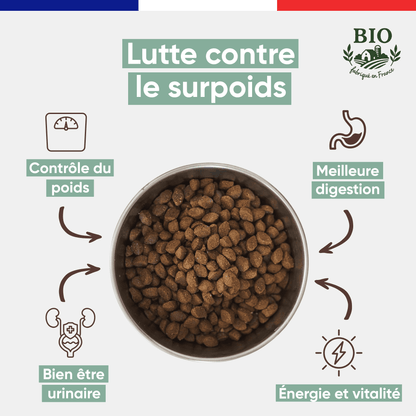 Infographie Félichef Bio présentant les bienfaits des croquettes sans céréales pour chat senior : lutte contre le surpoids, contrôle du poids, meilleure digestion, bonne santé urinaire et vitalité