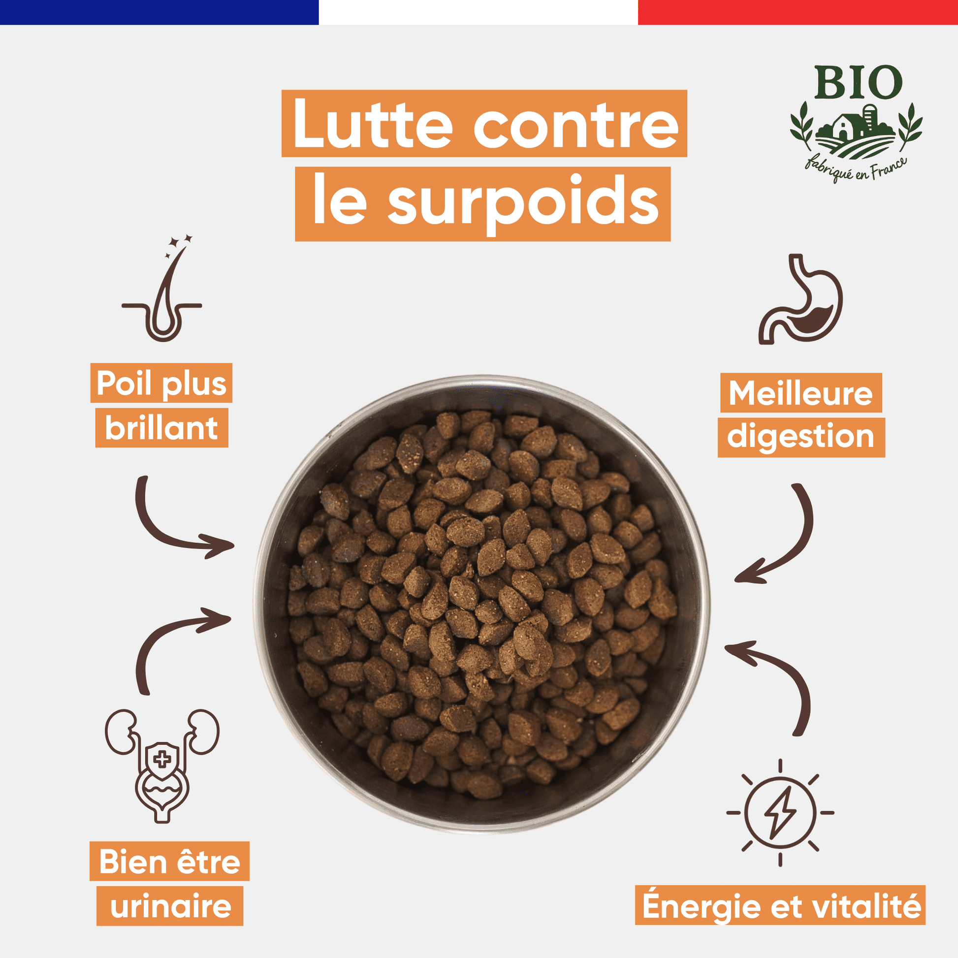 Infographie Félichef Bio présentant les bienfaits des croquettes sans céréales pour chat stérilisé : lutte contre le surpoids, poil brillant, meilleure digestion, bonne santé urinaire et vitalité