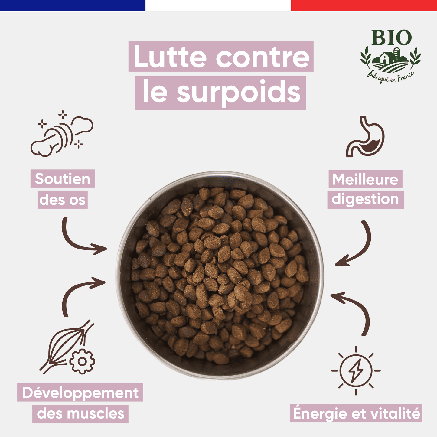 Infographie Félichef Bio présentant les bienfaits des croquettes sans céréales pour chaton : soutien des os, développement des muscles, meilleure digestion et santé et vitalité