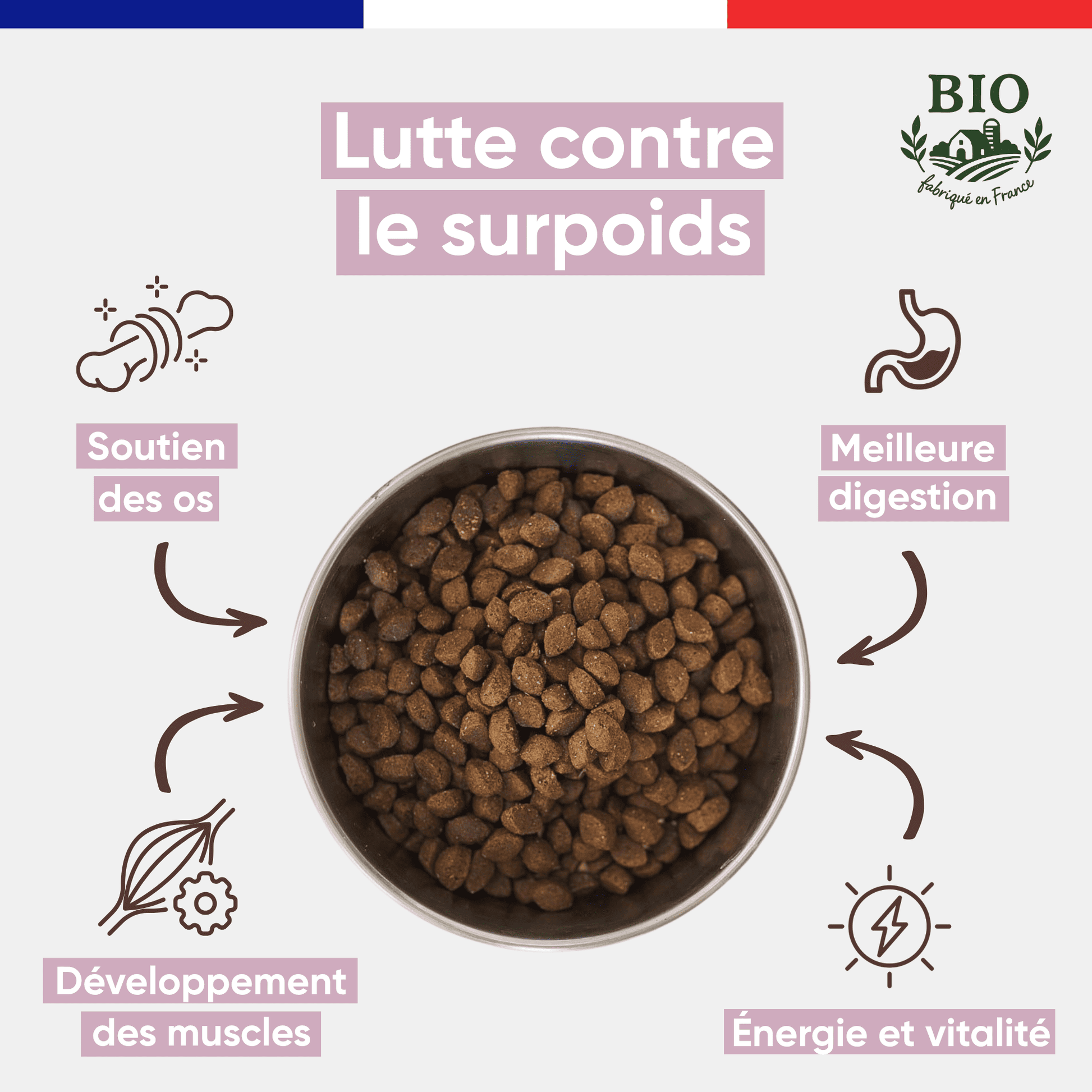 Infographie Félichef Bio présentant les bienfaits des croquettes sans céréales pour chaton : soutien des os, développement des muscles, meilleure digestion et santé et vitalité