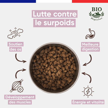 Infographie Félichef Bio présentant les bienfaits des croquettes sans céréales pour chaton : soutien des os, développement des muscles, meilleure digestion et santé et vitalité