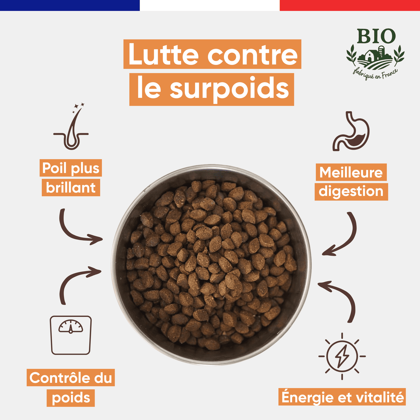 Gamelle en inox remplie de croquettes sans céréales pour chien moyenne et grande race Canichef Bio, avec les bienfaits : lutte contre le surpoids, poil plus brillant, contrôle du poids, meilleure digestion et vitalité