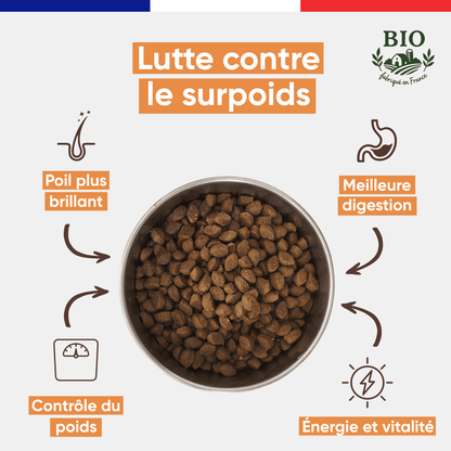 Gamelle en inox remplie de croquettes sans céréales pour chien moyenne et grande race Canichef Bio, avec les bienfaits : lutte contre le surpoids, poil plus brillant, contrôle du poids, meilleure digestion et vitalité