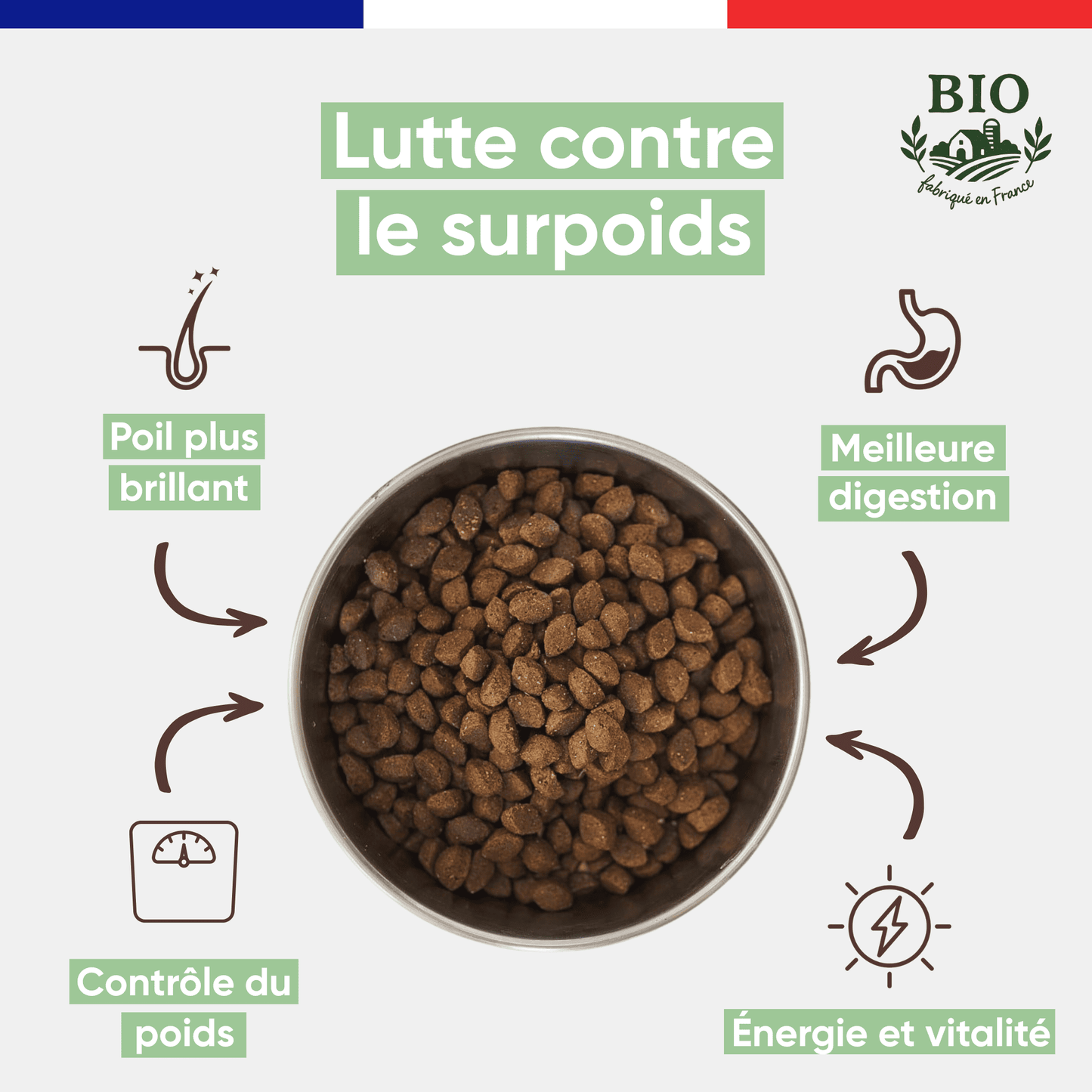 Gamelle en inox remplie de croquettes sans céréales pour chien petite race Canichef Bio, avec les bienfaits clés : lutte contre le surpoids, poil plus brillant, contrôle du poids, meilleure digestion et vitalité