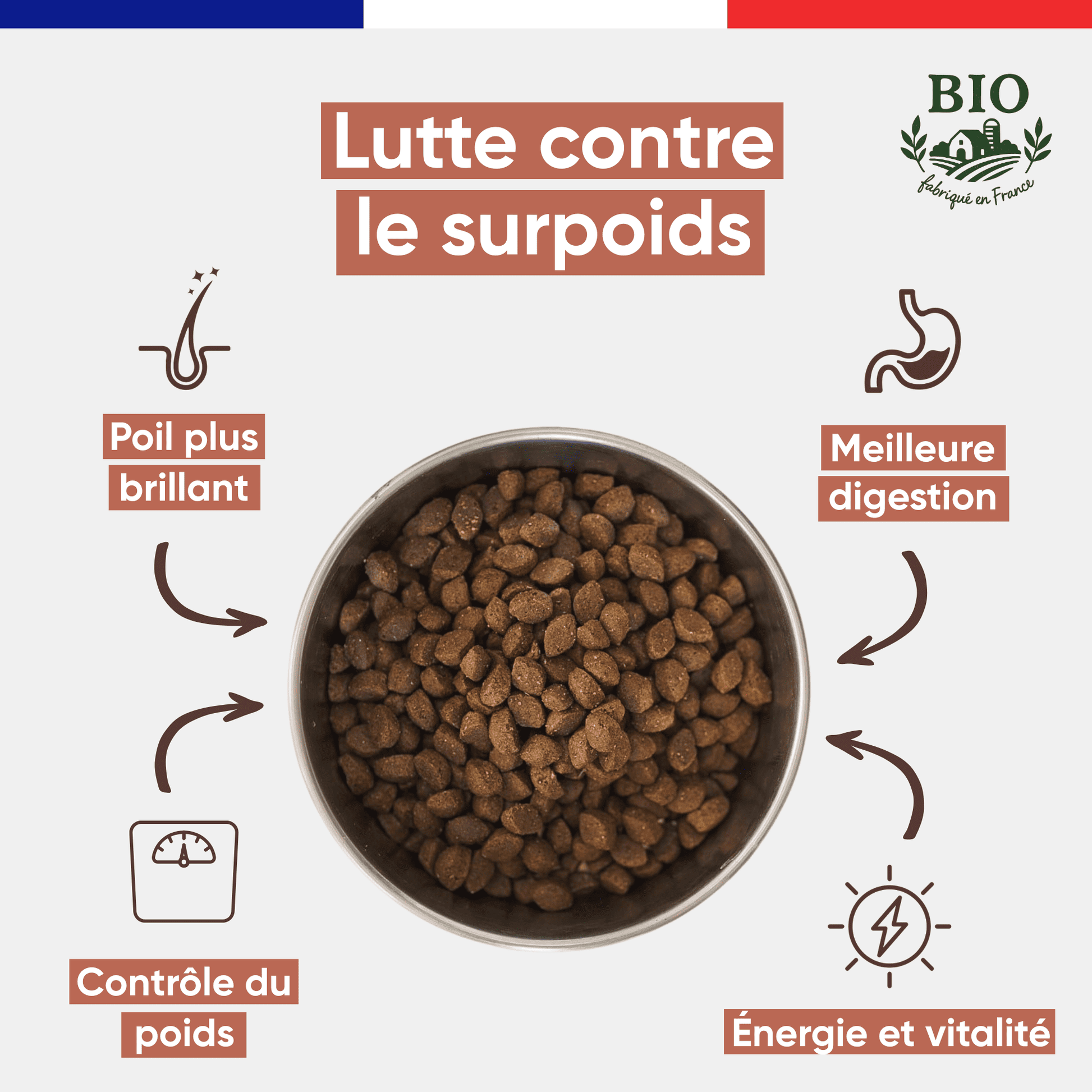 Gamelle en inox remplie de croquettes sans céréales pour chien senior Canichef Bio, avec les bienfaits : lutte contre le surpoids, poil plus brillant, contrôle du poids, meilleure digestion et vitalité