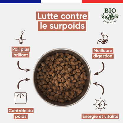 Gamelle en inox remplie de croquettes sans céréales pour chien senior Canichef Bio, avec les bienfaits : lutte contre le surpoids, poil plus brillant, contrôle du poids, meilleure digestion et vitalité