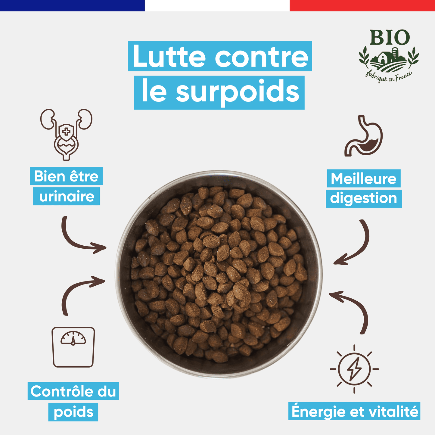 Gamelle en inox remplie de croquettes sans céréales pour chien stérilisé Canichef Bio, avec les bienfaits : lutte contre le surpoids, bonne santé urinaire, contrôle du poids, meilleure digestion et vitalité