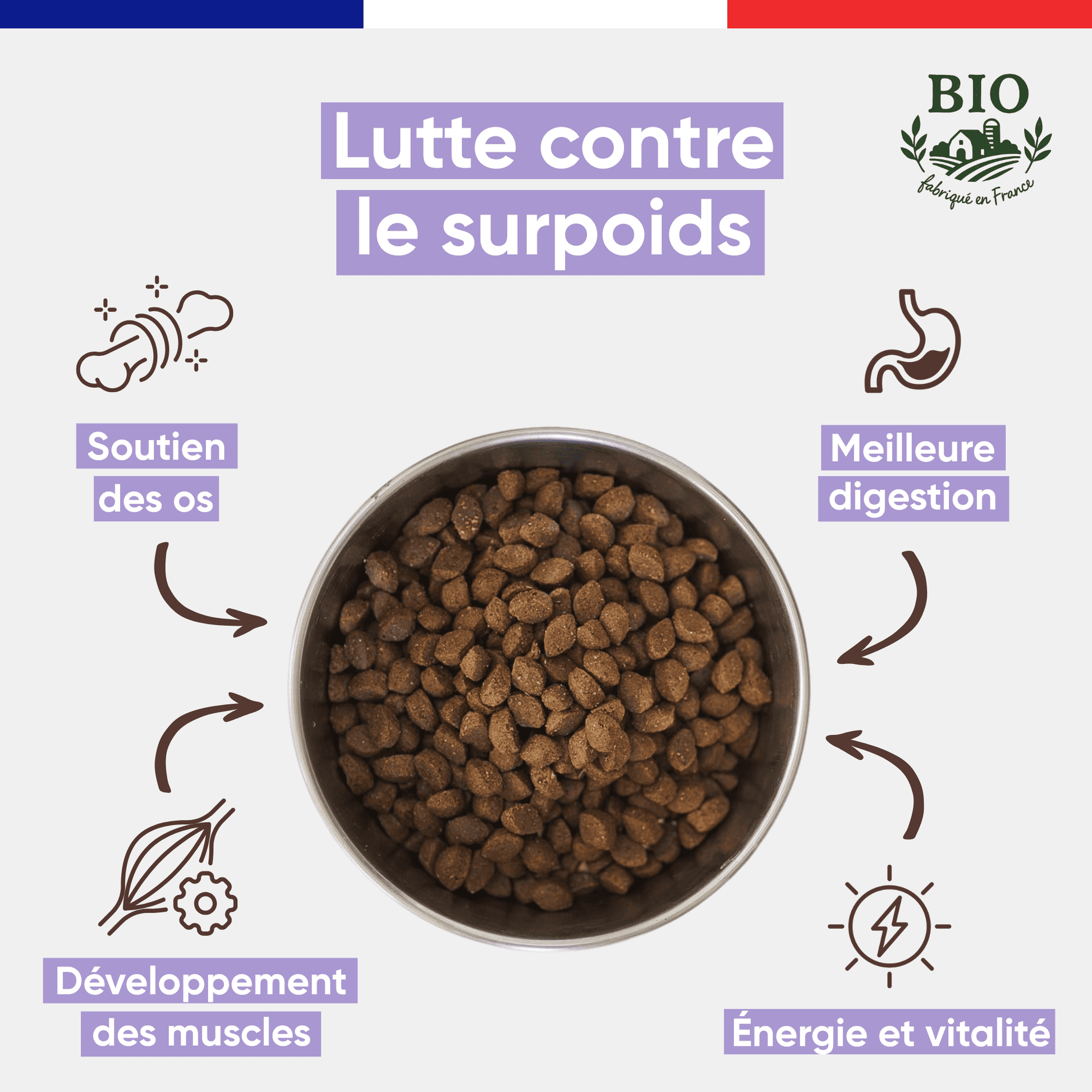 Gamelle en inox remplie de croquettes sans céréales pour chiot Canichef Bio, avec les bienfaits clés : lutte contre le surpoids, soutien des os, développement des muscles, meilleure digestion et vitalité