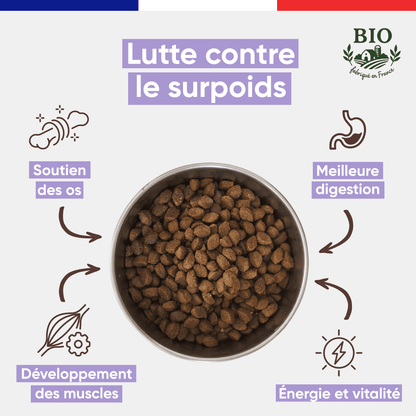 Gamelle en inox remplie de croquettes sans céréales pour chiot Canichef Bio, avec les bienfaits clés : lutte contre le surpoids, soutien des os, développement des muscles, meilleure digestion et vitalité