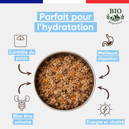 Gamelle en inox remplie de mousse pour chat au saumon bio Félichef, avec les bienfaits clés : hydratation, contrôle du poids, meilleure digestion, bonne santé urinaire et vitalité