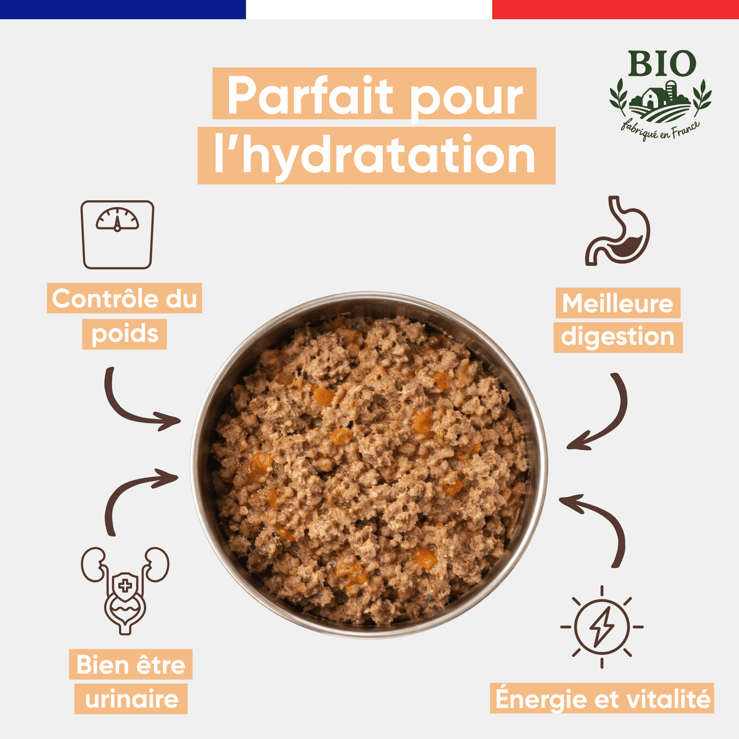 Gamelle en inox remplie de mousse pour chat à la volaille bio Félichef, avec les bienfaits clés : hydratation, contrôle du poids, meilleure digestion, bonne santé urinaire et vitalité