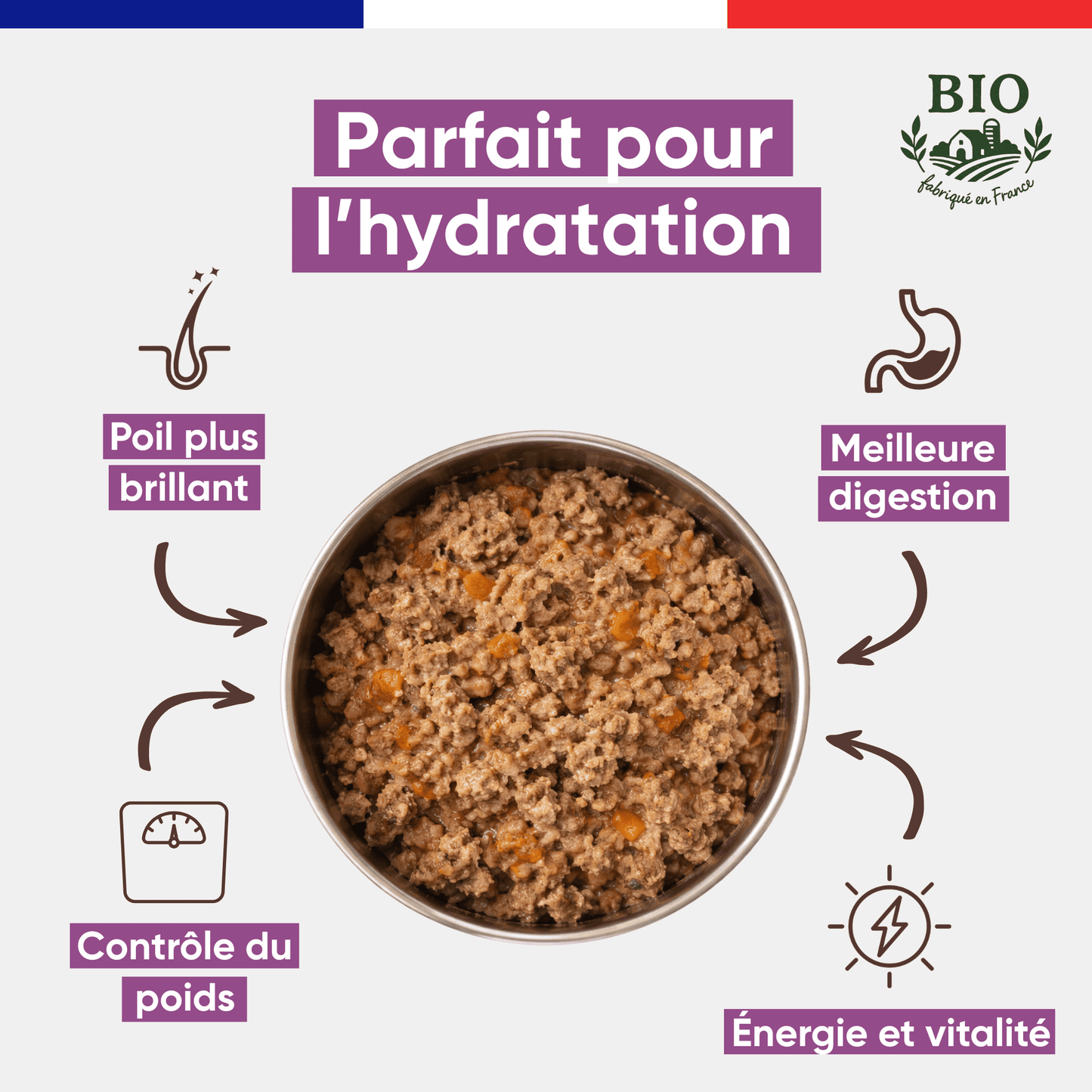 Gamelle en inox remplie de mousse chien volaille boeuf Canichef Bio, avec les bienfaits : parfait pour l'hydratation, poil plus brillant, contrôle du poids, meilleure digestion et vitalité