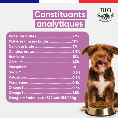 Chiot marron aux oreilles tombantes assis devant sa gamelle avec les constituants analytiques des croquettes chien moyenne et grande race Canichef Bio : 27% protéines brutes, 11% matières grasses, 392 kcal/100g