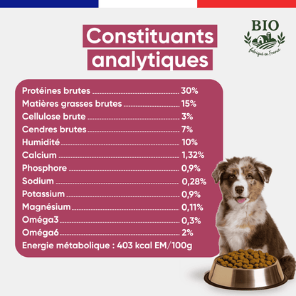 Chiot berger australien souriant assis devant sa gamelle avec les constituants analytiques des croquettes chiot Canichef Bio : 30% protéines brutes, 15% matières grasses, 403 kcal/100g