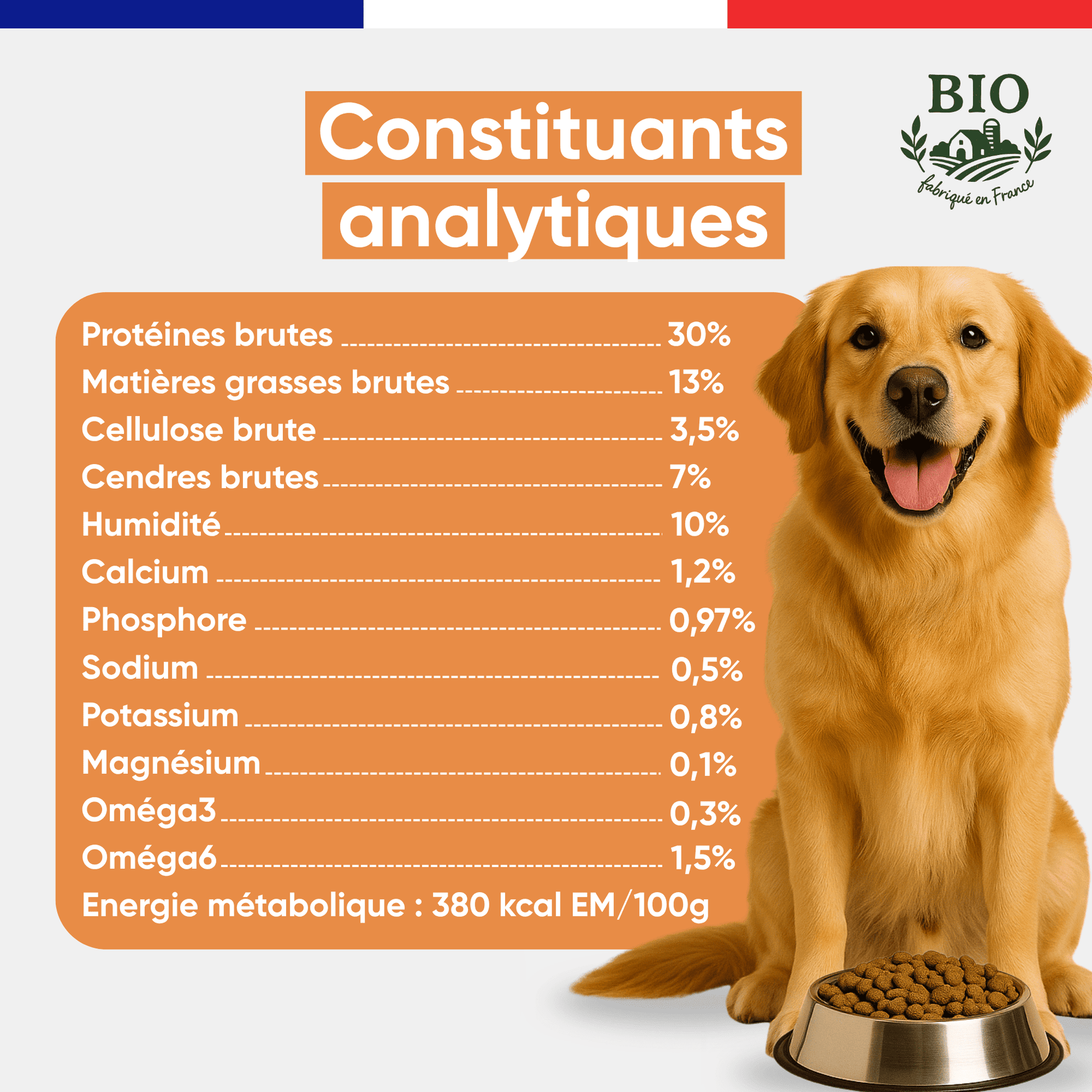 Golden retriever souriant assis devant sa gamelle avec les constituants analytiques des croquettes sans céréales chien moyenne et grande race Canichef Bio : 30% protéines brutes, 13% matières grasses, 380 kcal/100g