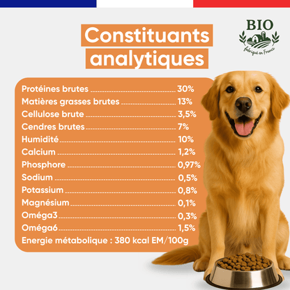 Golden retriever souriant assis devant sa gamelle avec les constituants analytiques des croquettes sans céréales chien moyenne et grande race Canichef Bio : 30% protéines brutes, 13% matières grasses, 380 kcal/100g